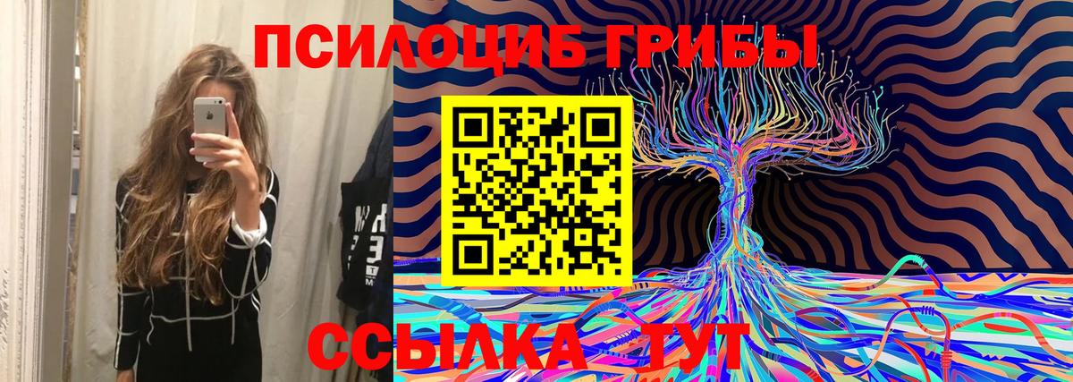 Бошки Шишки Дубна
