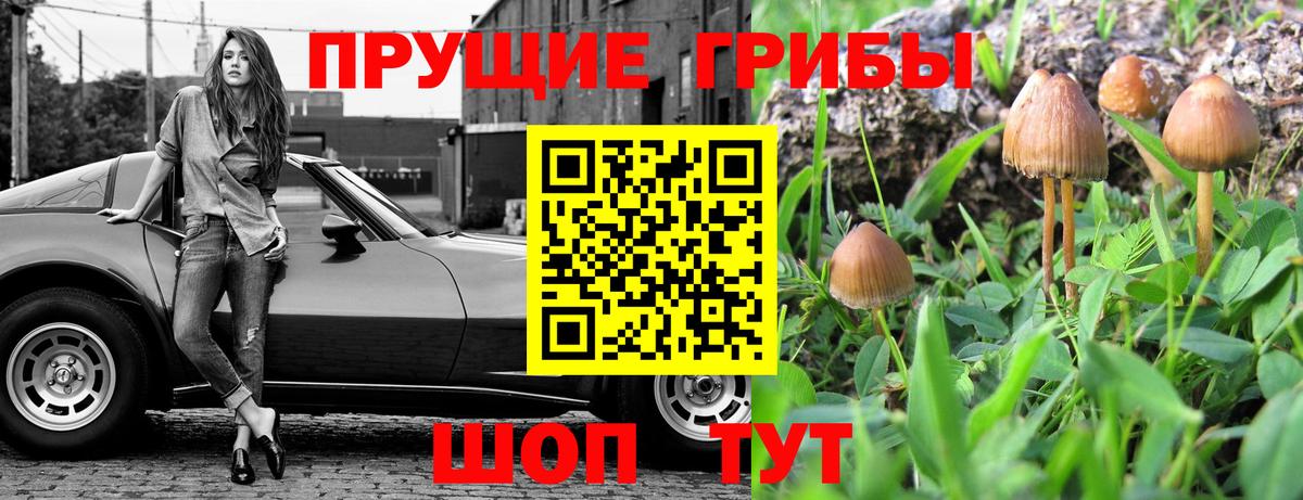 Псилоцибиновые грибы мухоморы  Галлюциногенные грибы прущие грибы  Дубна  Вход с VPN 